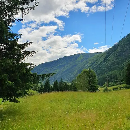 Schellgaden Holiday home Muhr
